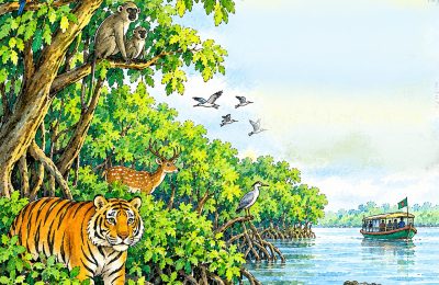 জাতীয় বন