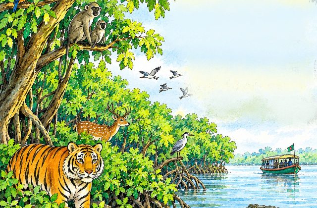 জাতীয় বন