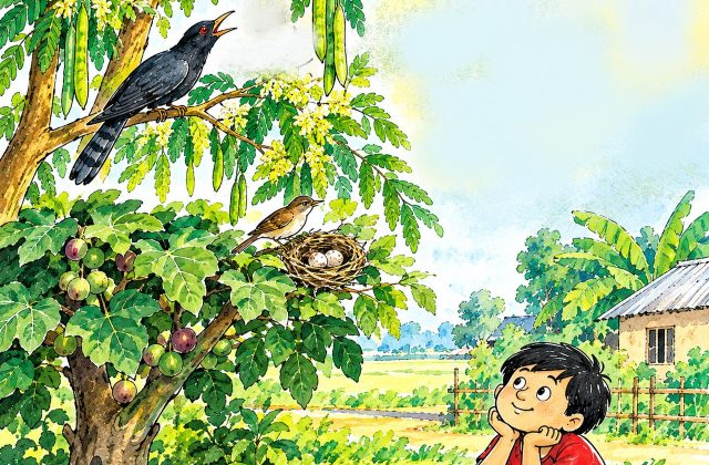 টুনটুনির ছানা